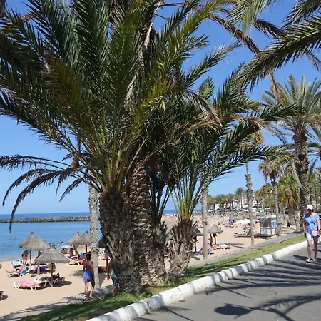 Daire Terraza Cristianos Arona (Tenerife)