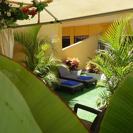 Daire Terraza Cristianos